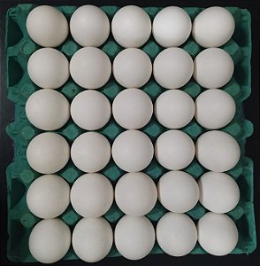 Ovos Super Jumbo Branco 30 Unidades - OVOS DI CASA - Ovos fresquinhos e  selecionados
