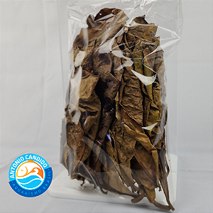 10 Folhas de Amendoeira Chapéu Sol Fungicida Natural p Peixe