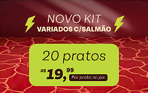 Novo Kit Variados com Salmão da Fruti - 20 pratos