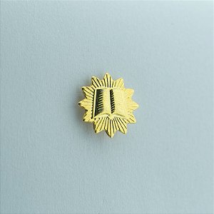 BT-199-D - Pin Mini Joia Orador Dourado