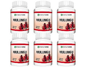 Kit 6 Mulungu 720 Cápsulas 500 mg Status Verde
