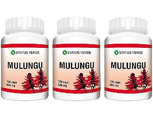Kit 3 Mulungu 360 Cápsulas 500 mg Status Verde