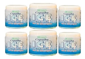 Copaíba Ice Andiroba - Gel De Massagem -250g (kit C 6 Potes)