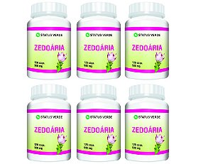 Kit 6 Zedoária 500mg 720 Cápsulas Status Verde