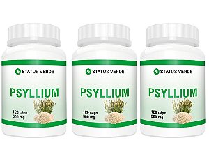 Kit 3 Psyllium 500mg 360 Cápsulas - Status Verde