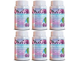 Kit 6 CactiNea + Alcachofra 360Cáps 500mg Status Verde