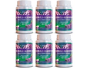 Kit 6 Berinjela + Alcachofra 360Cáps 500mg Status Verde