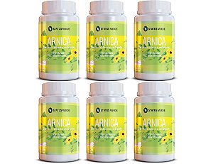 Kit 6 Arnica 720Cáps 500mg Status Verde