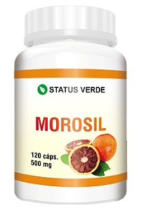 Kit 12 Morosil 1440 Cápsulas 500mg - Status Verde