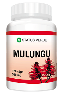 Kit 12 Mulungu 1440  Cápsulas 500 mg Status Verde