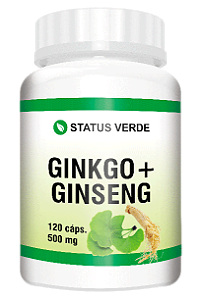 Kit 12 Ginkgo Biloba Com Ginseng 1440 Cápsulas 500mg - Status Verde