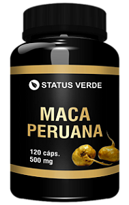 Kit 12 Maca Peruana 1440 Cápsulas 500mg - Status Verde