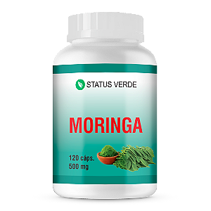 Kit 12 Moringa 500mg 1440 Cápsulas Status Verde