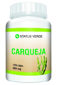 Kit 12 Carqueja  1440 Cápsulas - 500mg Status Verde