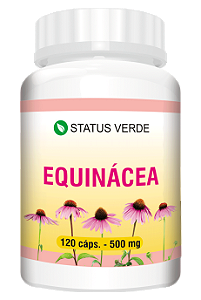 Kit 12 Equinácea 1440 Cápsulas - 500 mg Status Verde