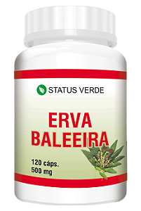 Kit 12 Erva Beleira 1440 Cápsulas - 500mg Status Verde