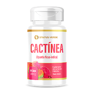 Kit 12 Cactínea 60 Cápsulas 500mg Status Verde