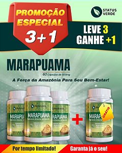 PROMOÇÃO - Kit 3 Marapuama 180 Cápsulas 500mg Status Verde 1 GRÁTIS
