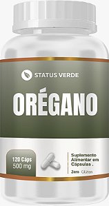 Kit 12 Orégano 120 x 12  Cápsulas 500mg Status Verde
