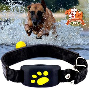 Rastreador GPS para cães