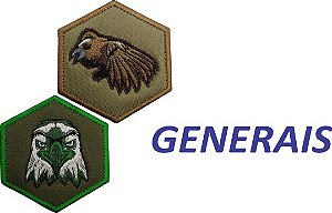 Kit 2 Pçs  Generais-Operação o conflito MilsimBr Oficial