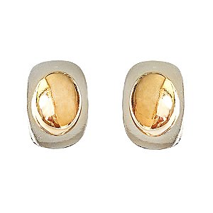 Brinco Oval Quadrado Organic