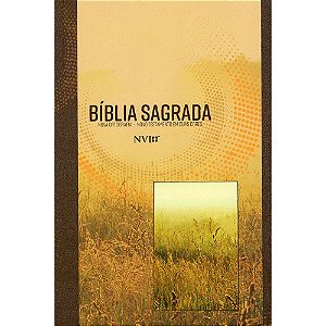 Bíblia Sagrada Nvi Grande - Capa Brochura - Neutra