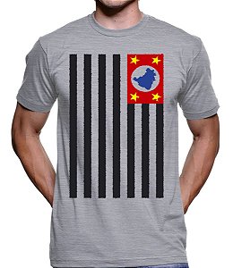 Camiseta Bandeira São paulo