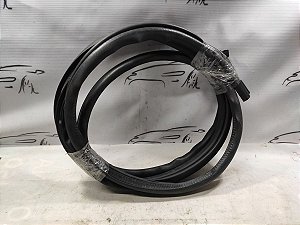 Borracha Porta Traseiro Direito Mitsubishi Lancer 2015 2016
