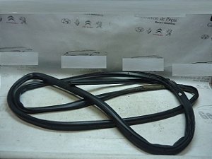 Borracha Contorno Porta Traseiro Esq Ford Ecosport 14/15 Ori