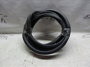 Borracha Porta Traseira Esquerda Honda Civic G10 2021 Orig