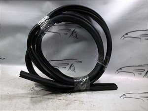 Borracha Porta Traseiro Direito Mitsubishi Lancer 19/20