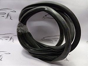 Borracha Porta Traseiroa Esquerda  Xsara Picasso 08 A 12
