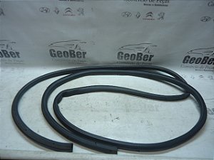 Borracha Contorno Porta Traseira Esq. Ford Focus 2013 Hatch