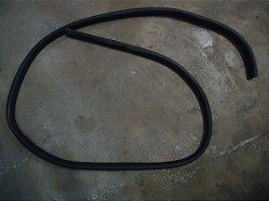 Borracha Porta Traseira Esquerda Ford Ecosport 13/13