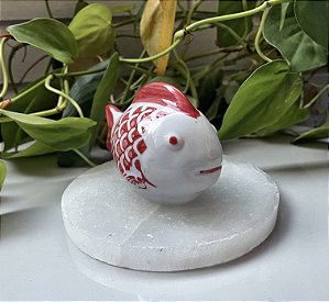Peixe Porcelana Chinesa vermelha