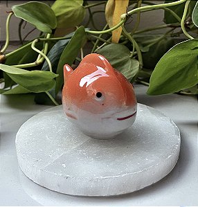 Peixe Porcelana Chinesa laranja