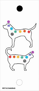 Placa ou Gráfico Radiônico PETS ou Animais Chakras  28X11 EM PVC 30x13 CM