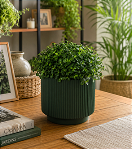Cachepô Redondo Decorativo em Cerâmica Verde 13cm – Charme e Versatilidade | Casa de Lila