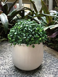 Vaso Planta Cachepô  Decorativo de Cerâmica 12x13 Branco