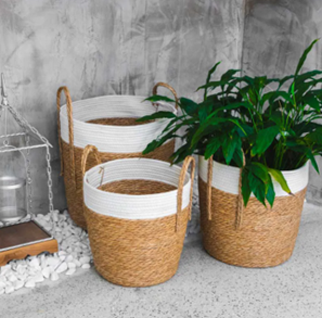 Conjunto 3 Cestos Decorativos de Fibra Vegetal e Algodão