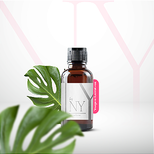 Essência Ambiente Tradicional Amanhecer Tropical