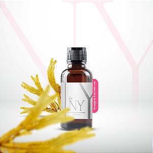 Essência Ambiente Tradicional Algas