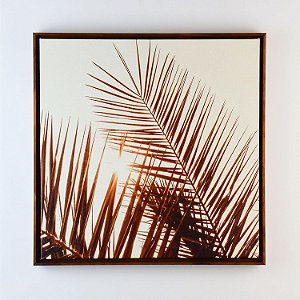 Quadro Tropical Raio de Sol