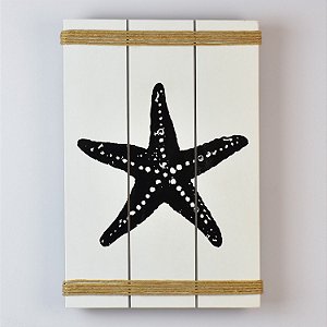 Quadro Estrela Branco 35 cm