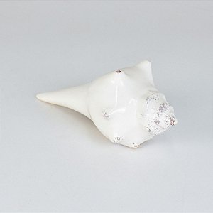 Concha Buzios Branco