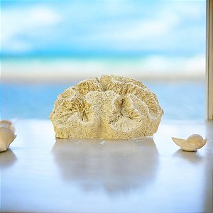 Enfeite Coral Arbusto Bege em Resina
