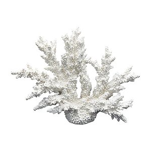 Coral Arbusto Resina