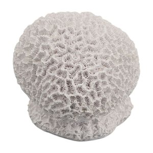 Bola De Coral Cerebro Resina