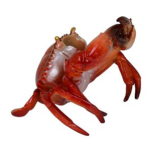 Porta Garrafa De Caranguejo